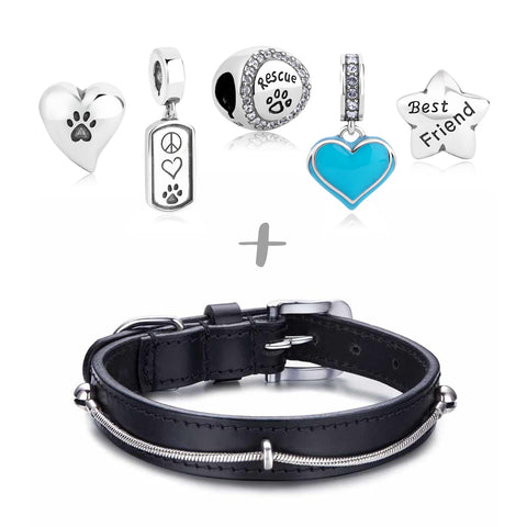 "Rescued & Loved" Starter Collection (Collar)