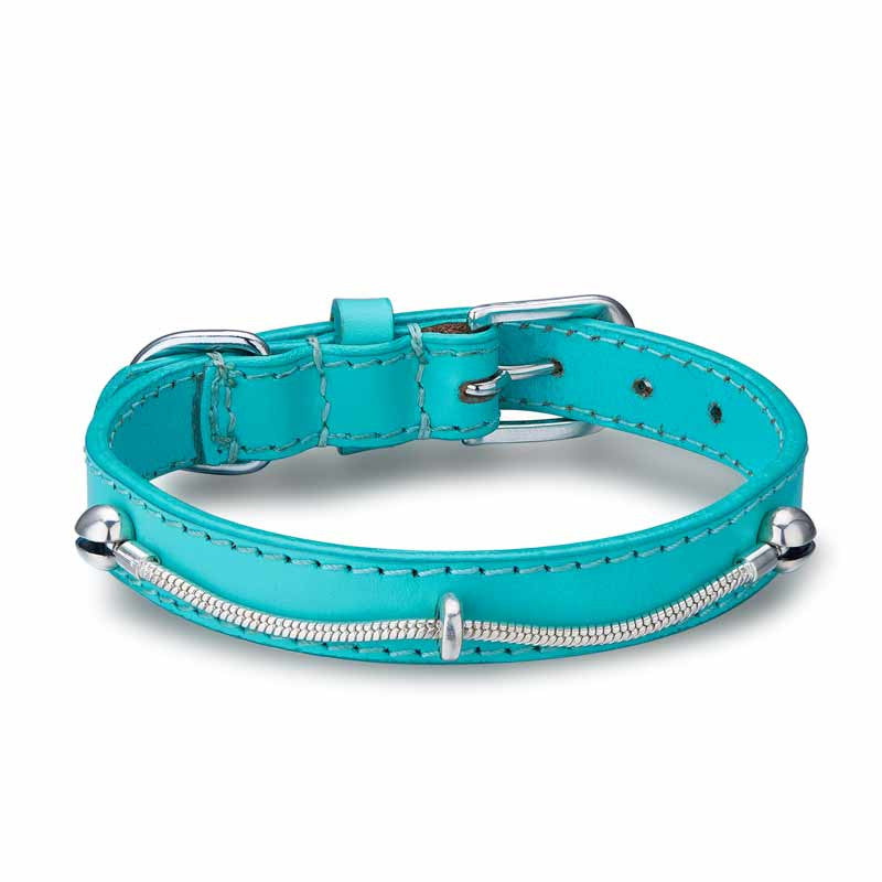 Bella Bone Blue Uptown Dog Collar