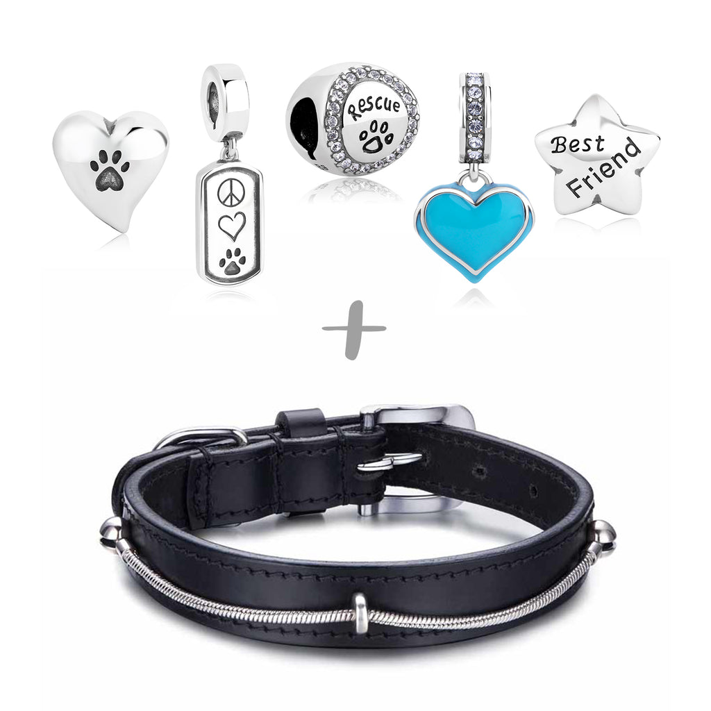 "Rescued & Loved" Starter Collection (Collar)