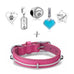 "Rescued & Loved" Starter Collection (Collar)